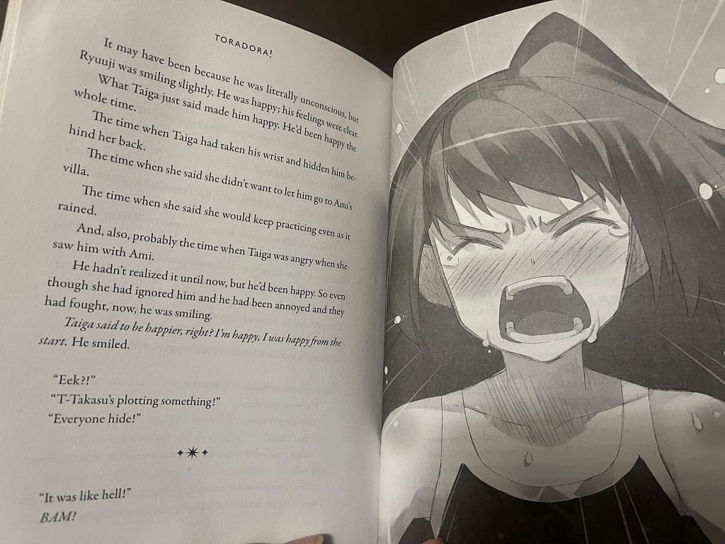 Descubra o que são Light Novels, como surgiram, suas diferenças para mangás e animes e por que tantas histórias chegam às telas.